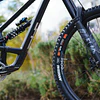 YT Capra Custom Series 1 MX 