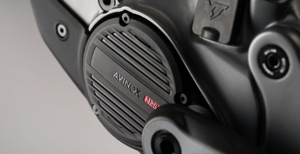 PREVENTA DECOY X AVINOX LE
