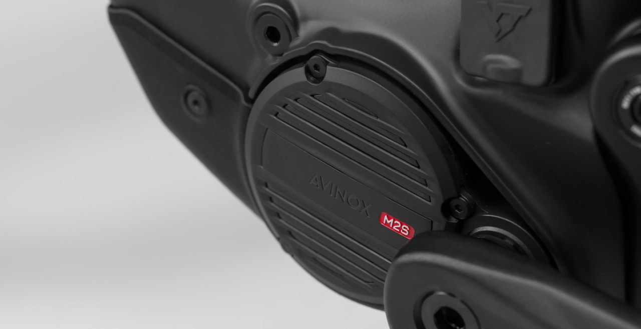 PREVENTA DECOY X AVINOX CORE 2