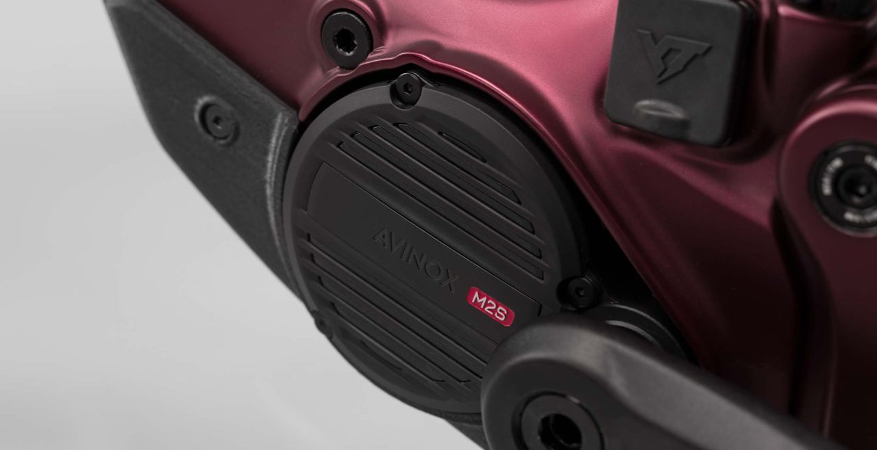 PREVENTA DECOY X AVINOX CORE 4