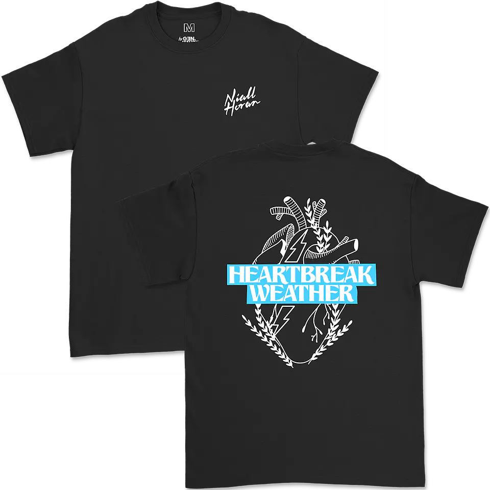 Niall Horan · Heartbreak Weather Heart 4