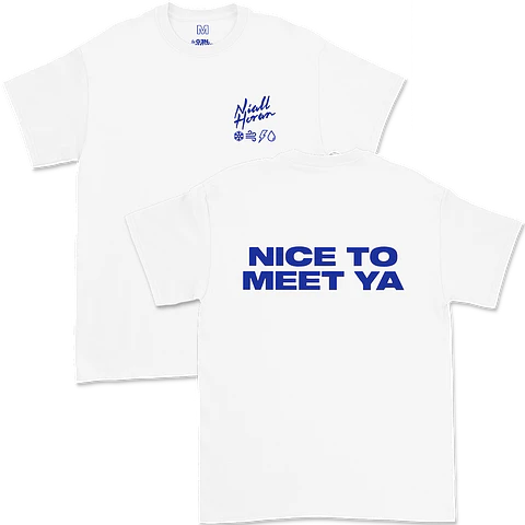 Niall Horan · Nice To Meet Ya