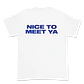 Niall Horan · Nice To Meet Ya - Miniatura 7