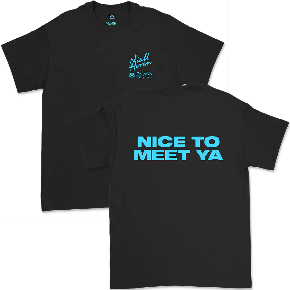 Niall Horan · Nice To Meet Ya 1
