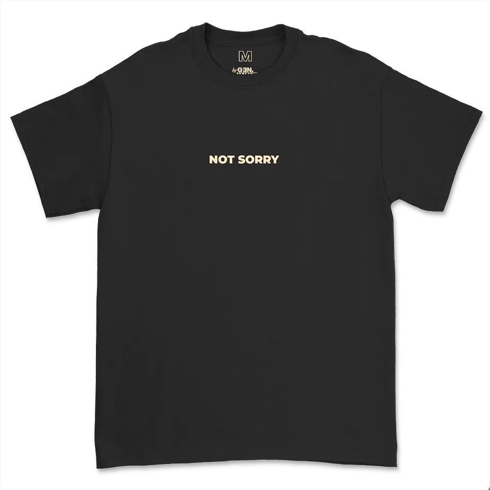 Demi Lovato · Not Sorry 2