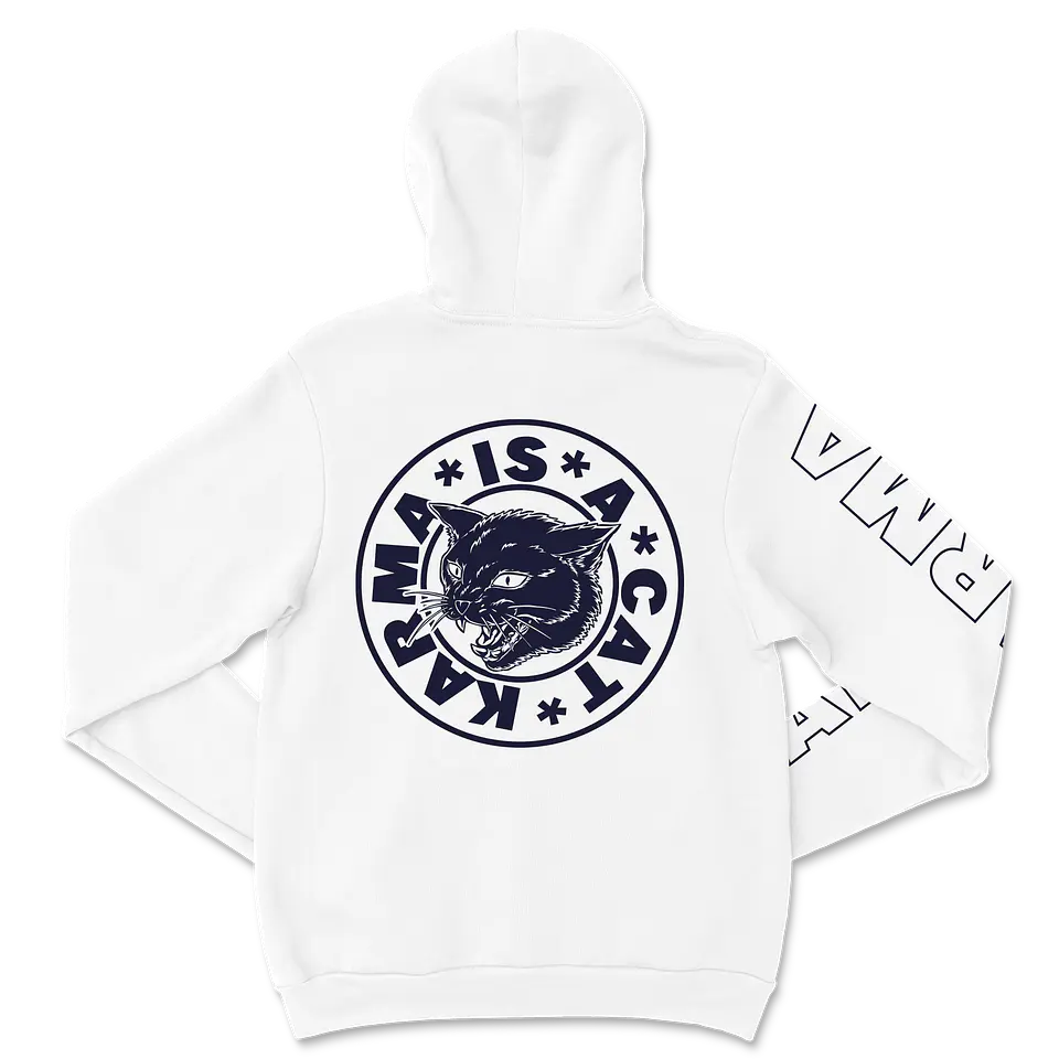 Taylor Swift · Karma is a Cat Hoodie 5