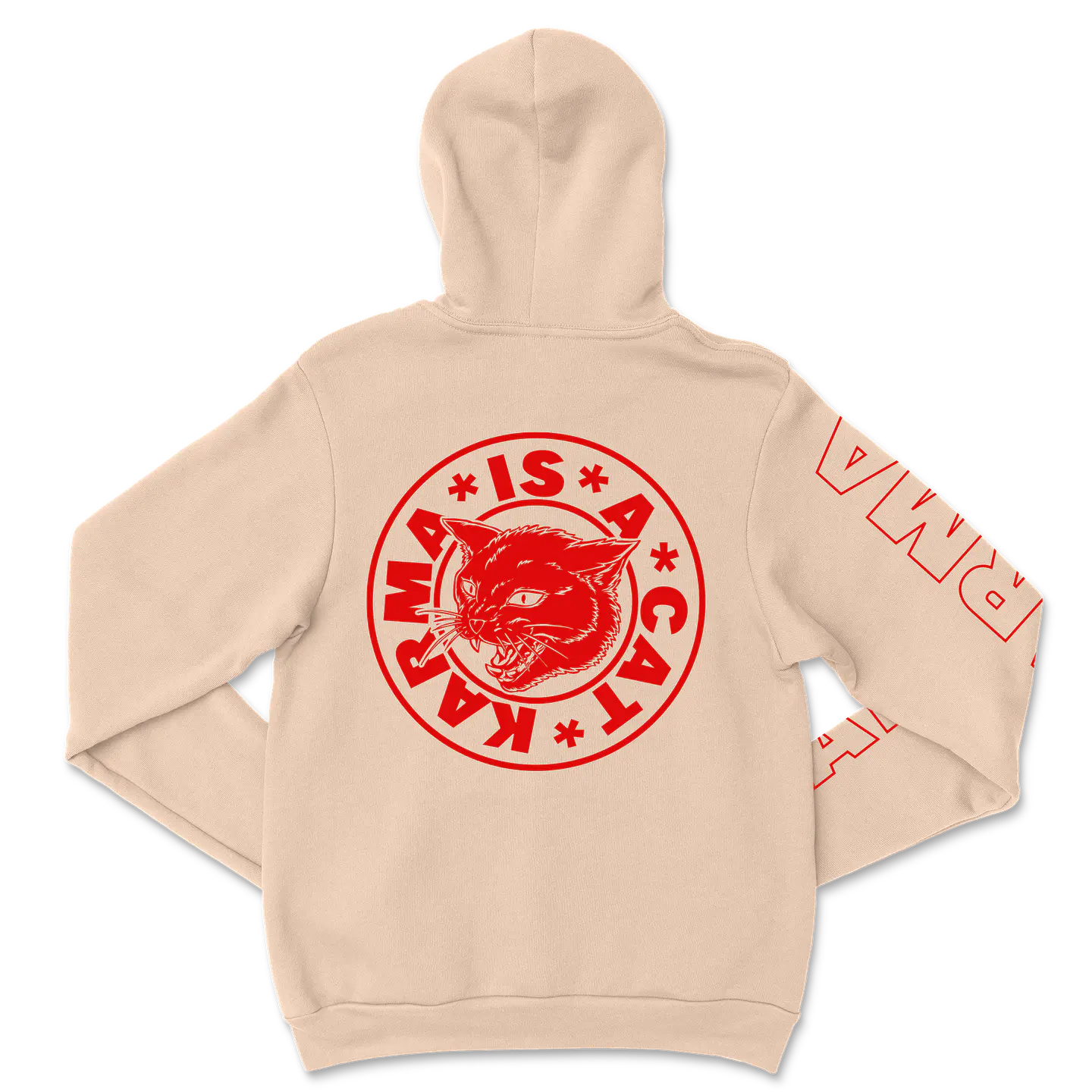 Taylor Swift · Karma is a Cat Hoodie 9