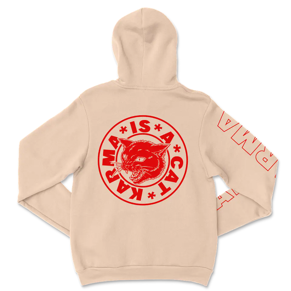 Taylor Swift · Karma is a Cat Hoodie 9