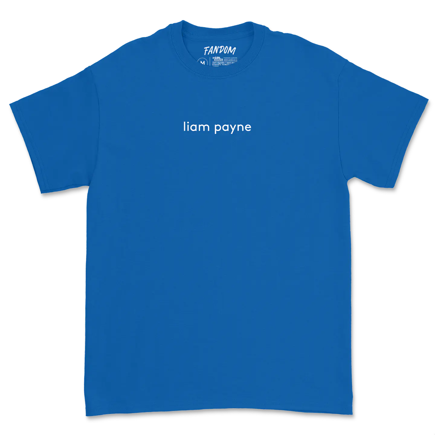 Liam Payne · Tour Santiago 2023 Polera 5