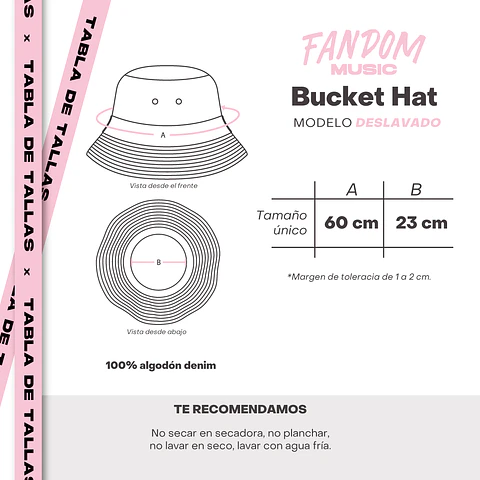 Harry Styles · Bucket Grunge TPWK