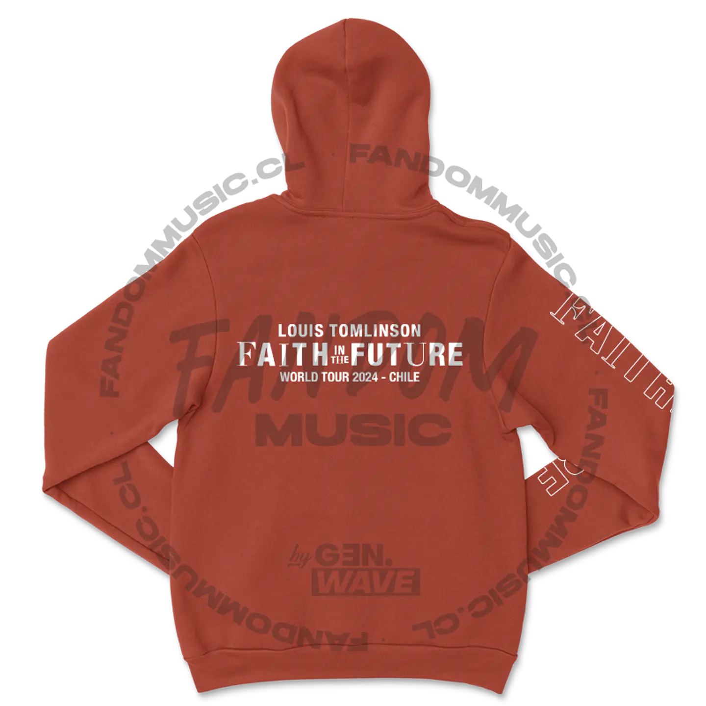 Louis Tomlinson · FITF Tour Hoodie 5