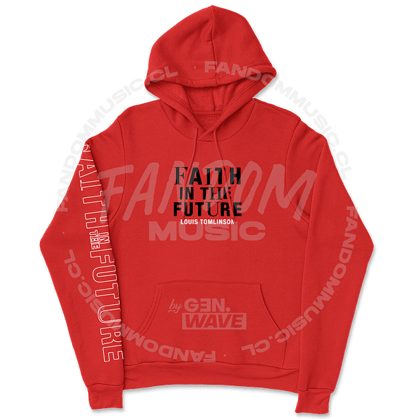 Louis Tomlinson · FITF Tour Hoodie 6