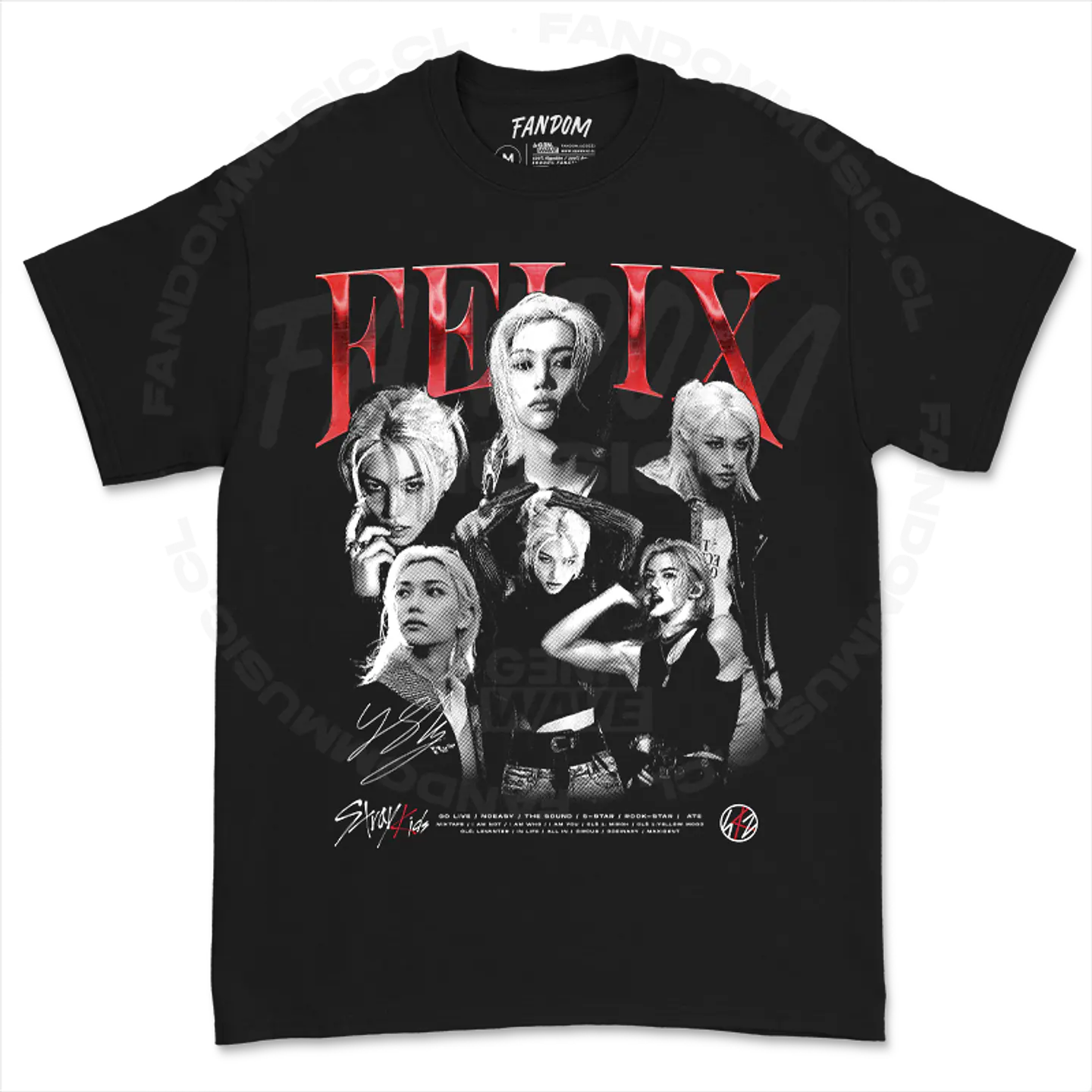 Stray Kids · Felix Polera 1