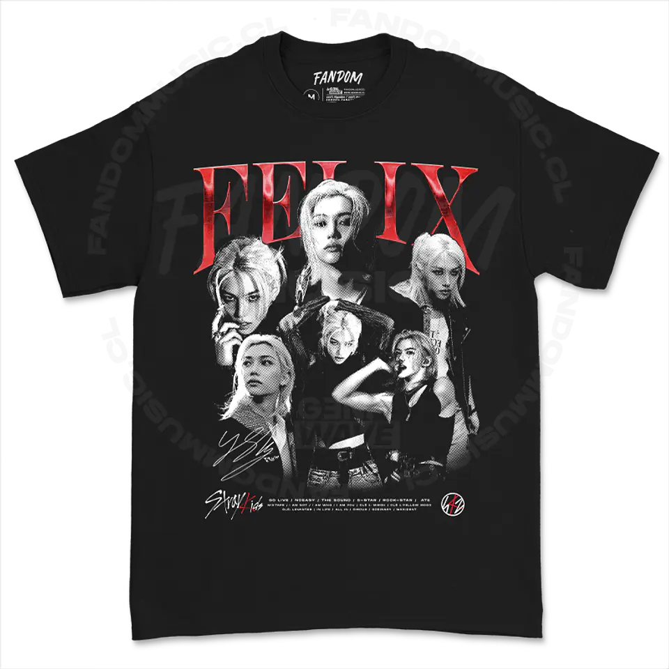 Stray Kids · Felix Polera 1