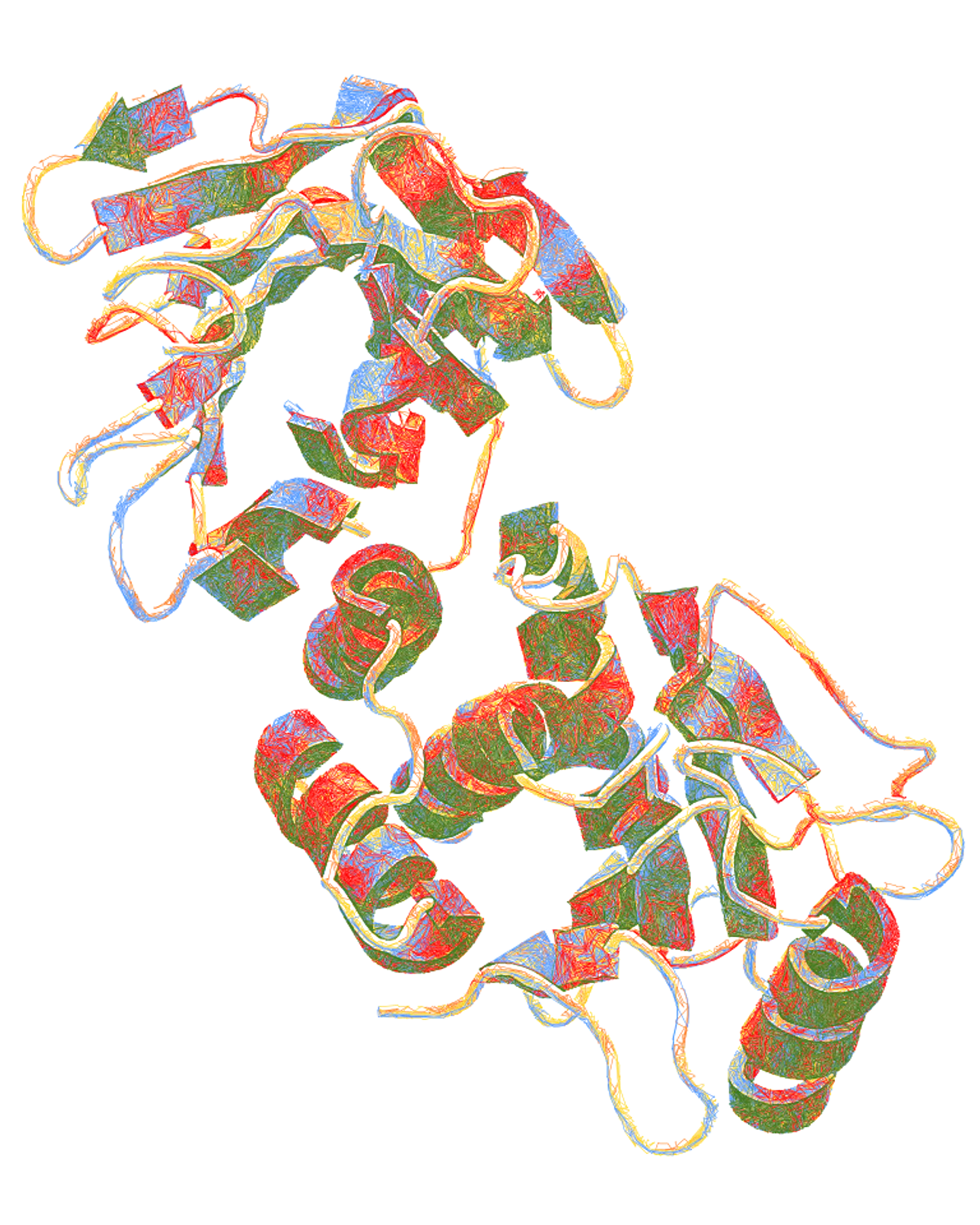 PTEN — Folded Ribbon Model 1