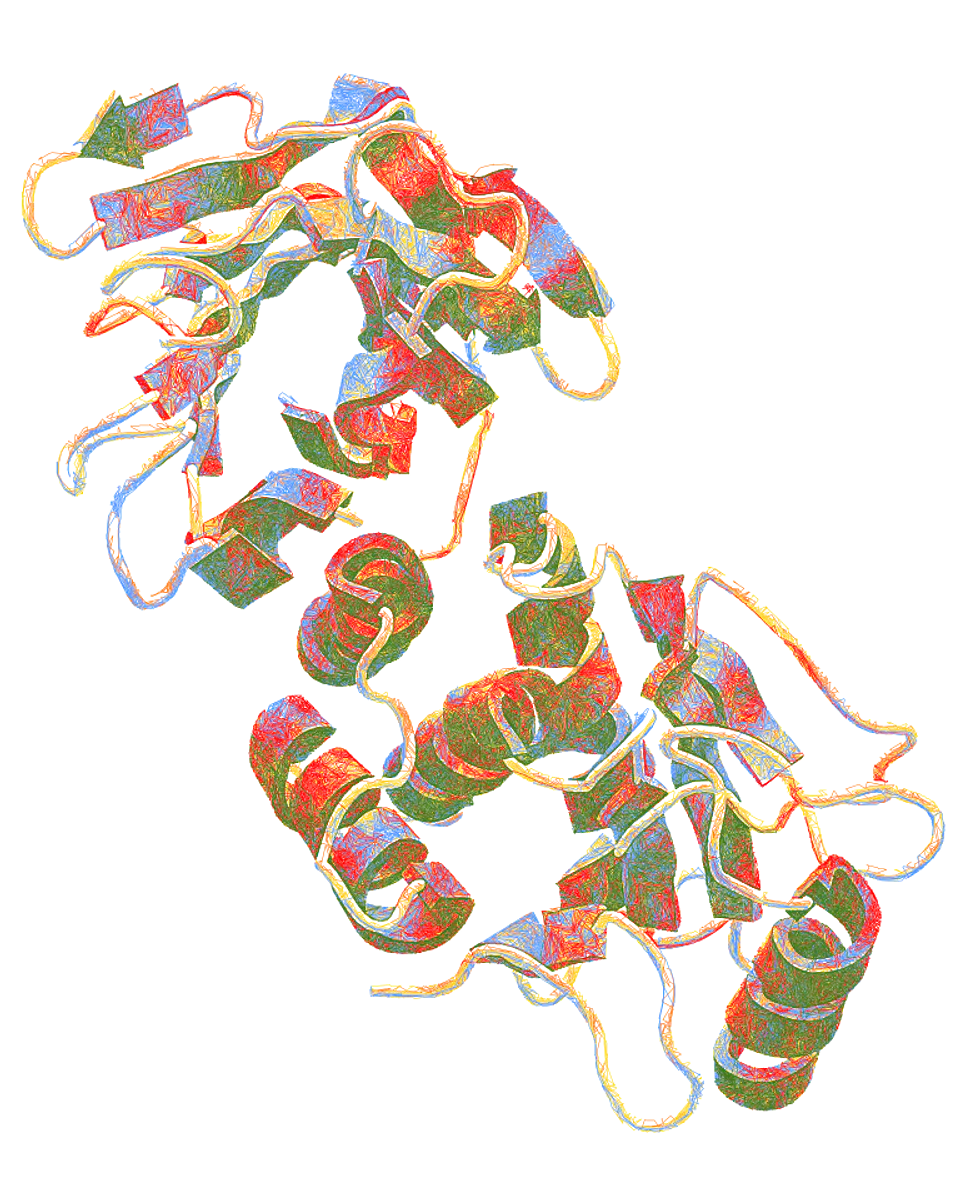 PTEN — Folded Ribbon Model 1