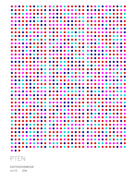 PTEN — DNA Sequence