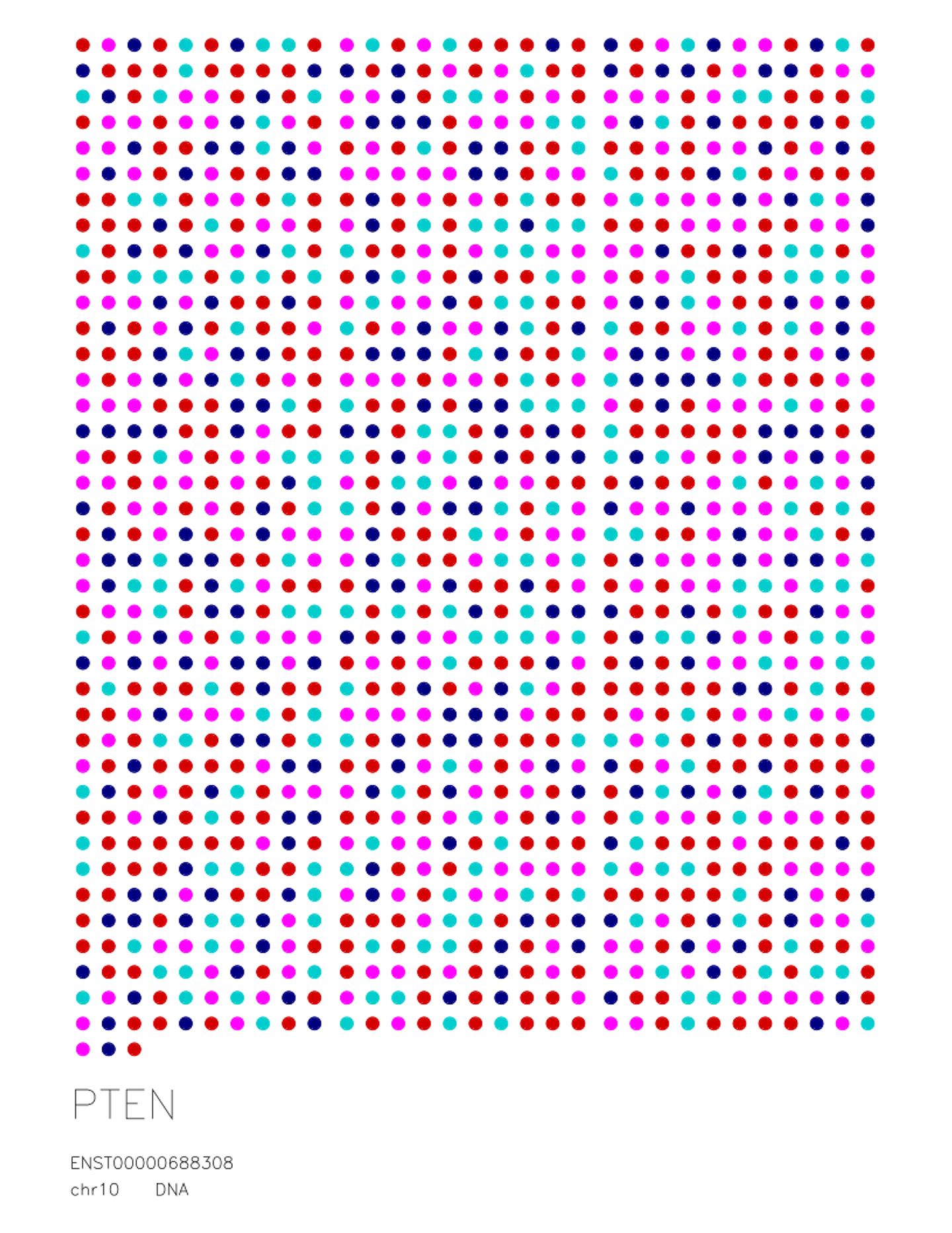 PTEN — DNA Sequence 1