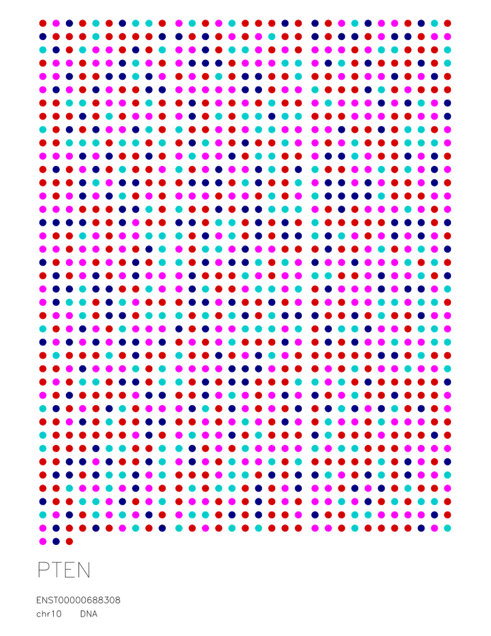 PTEN — DNA Sequence 1