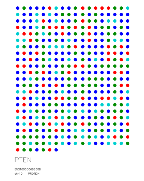 PTEN — Protein Sequence