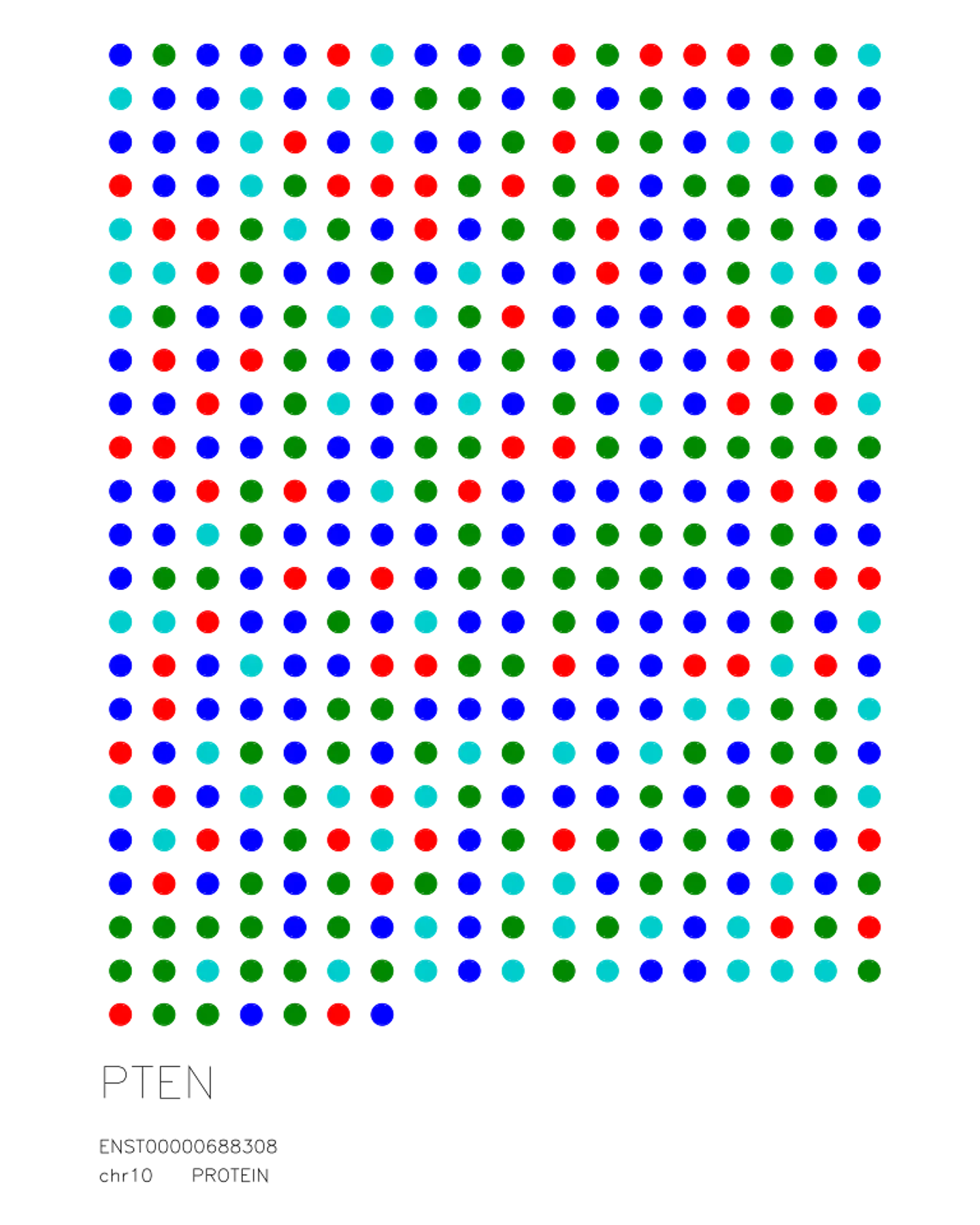 PTEN — Protein Sequence 1