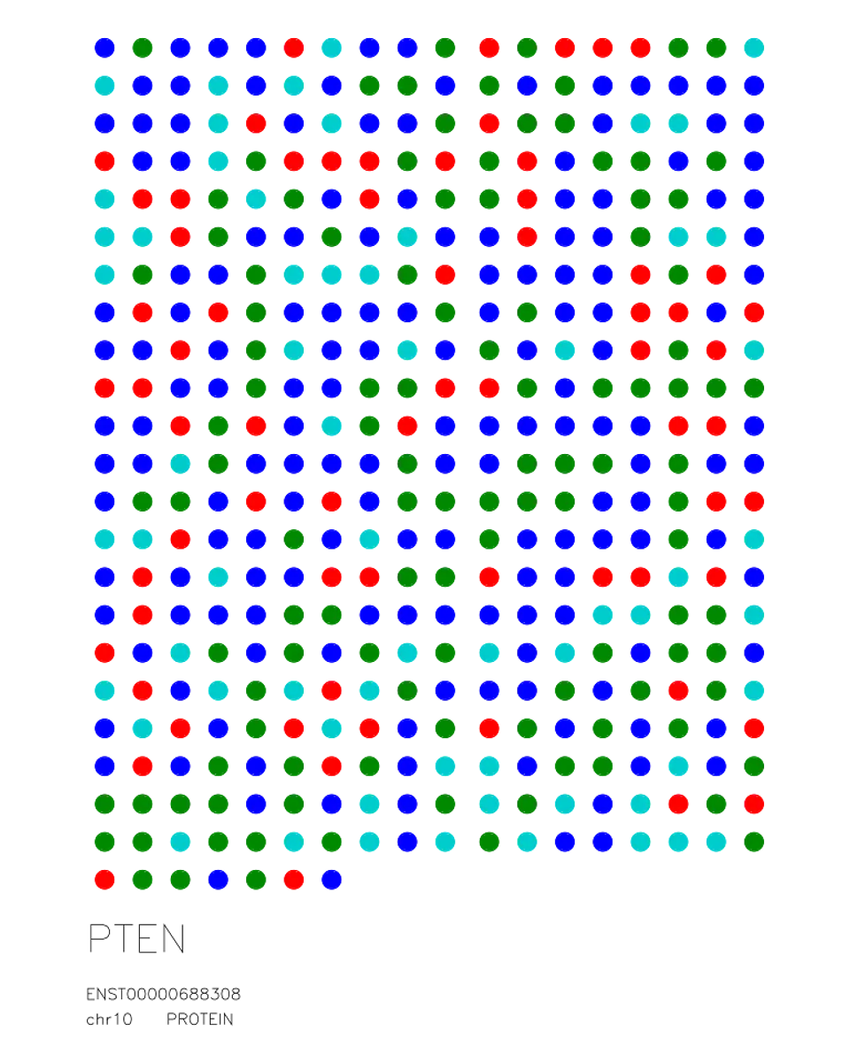 PTEN — Protein Sequence 1