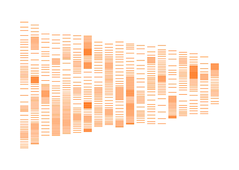 Mus musculus (House Mouse)