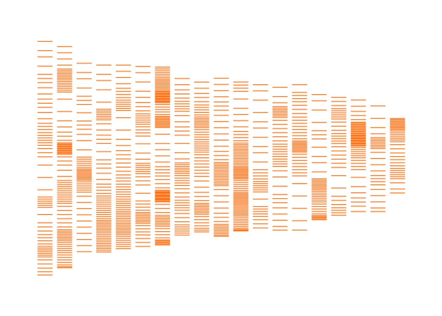 Mus musculus (House Mouse) 1