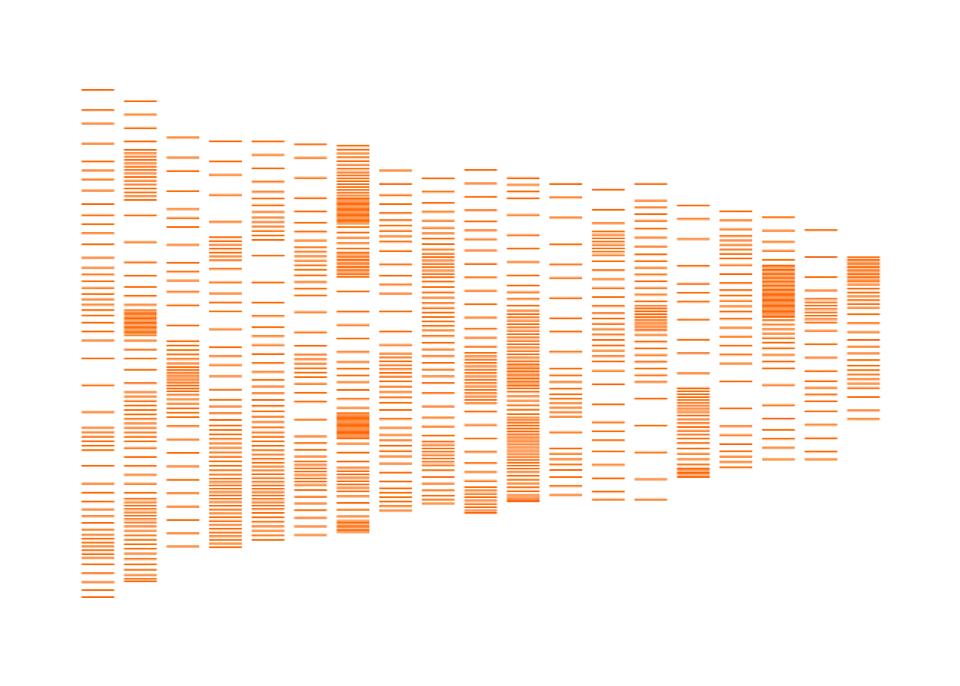 Mus musculus (House Mouse) 1