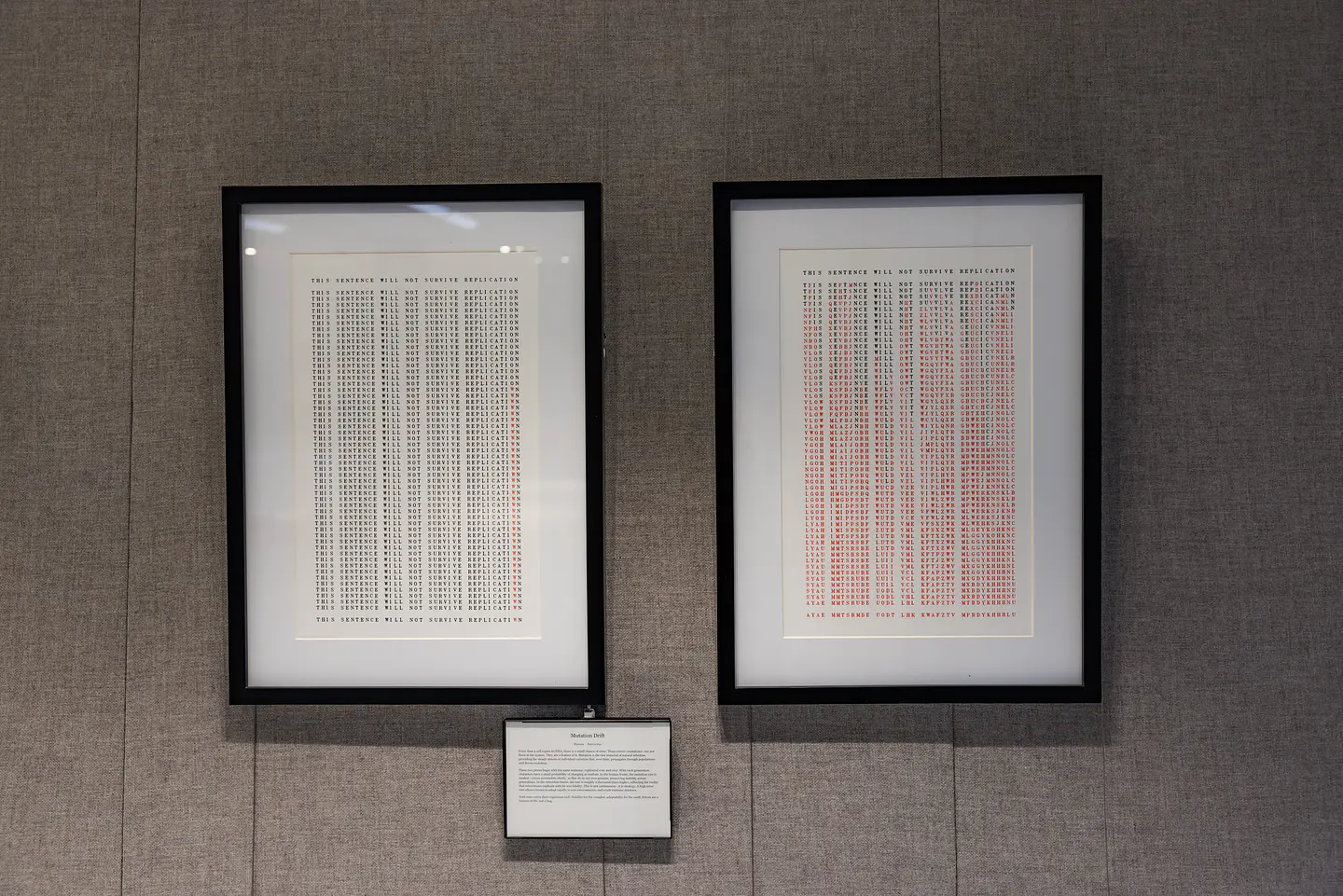 Mutation Drift - Human 2