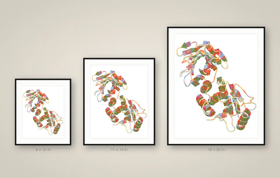 PTEN — Folded Ribbon Model 3