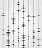 Neanderthal Sinc - thumbnail 2