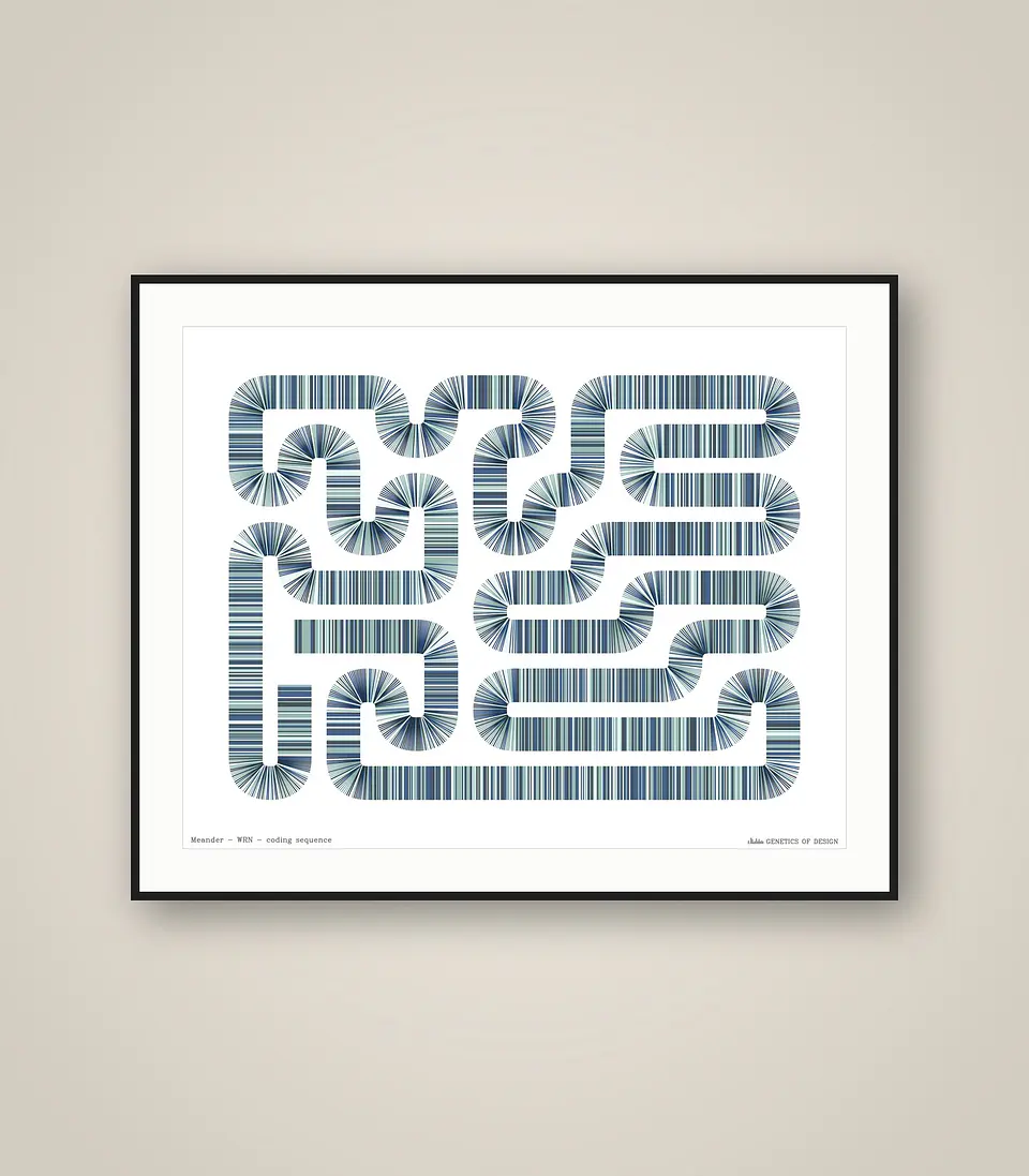 WRN · Meander 1