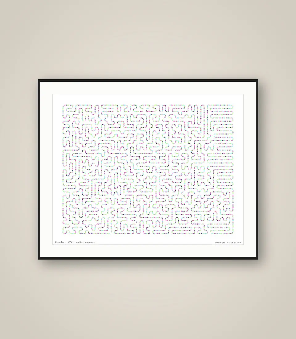 ATM · Meander 1