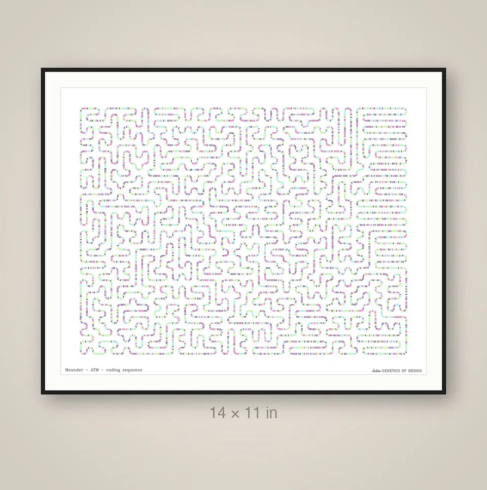 ATM · Meander 3