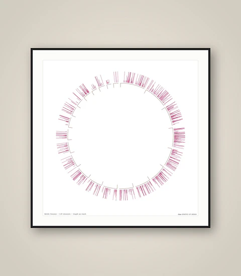 Mobile Genome