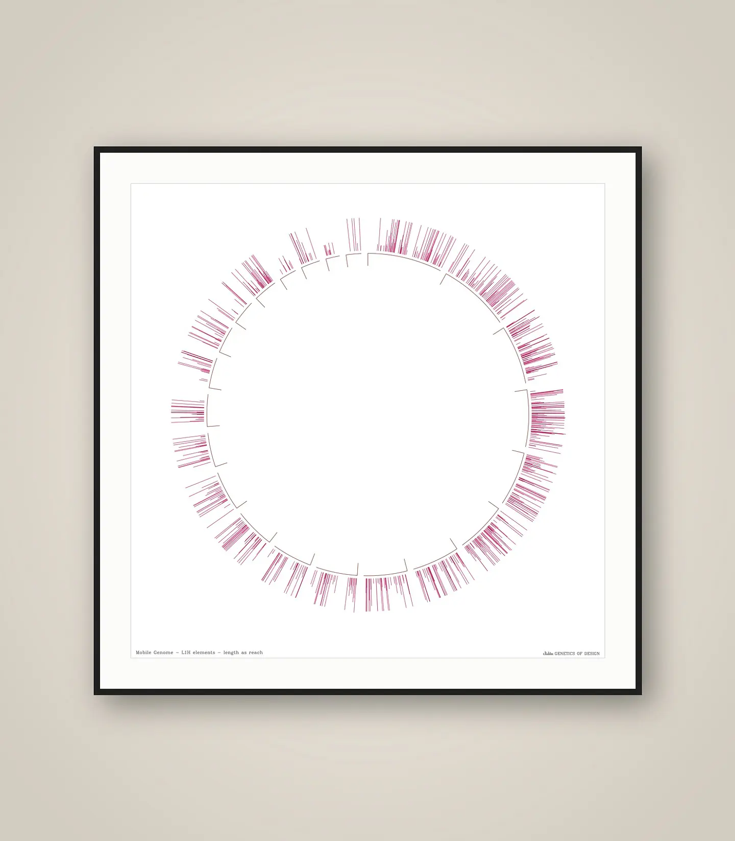 Mobile Genome 1