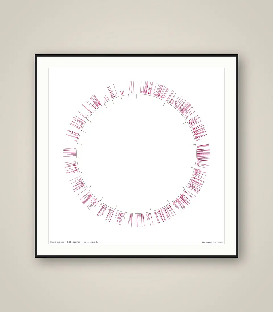 Mobile Genome 1