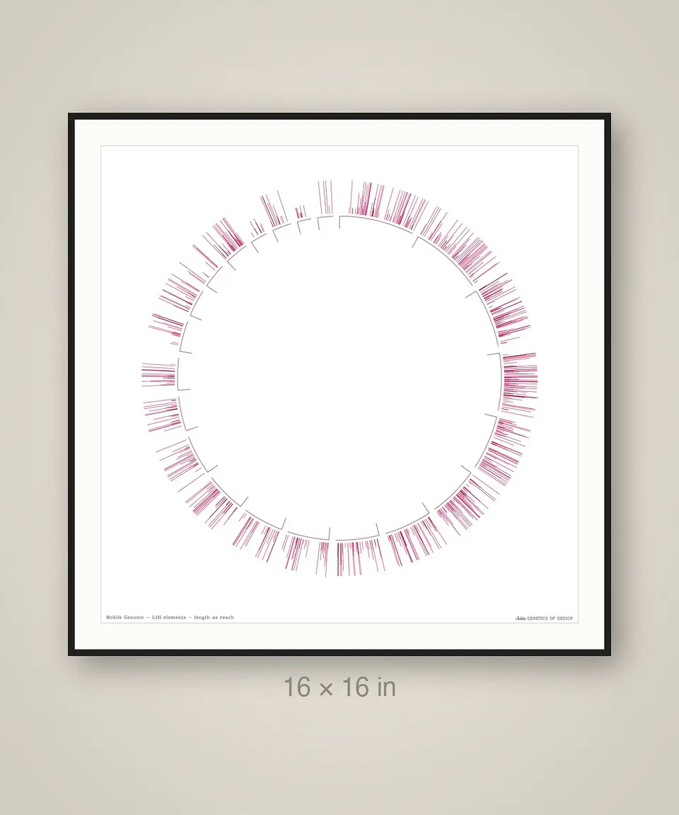Mobile Genome 3