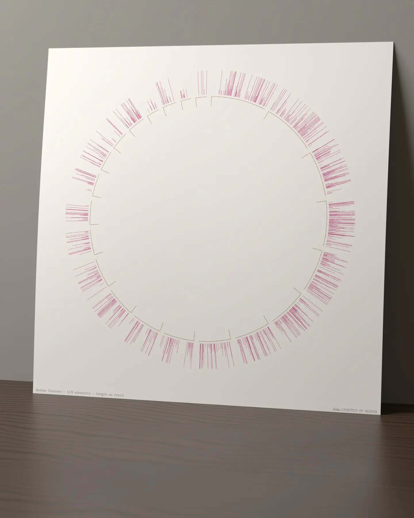 Mobile Genome 1