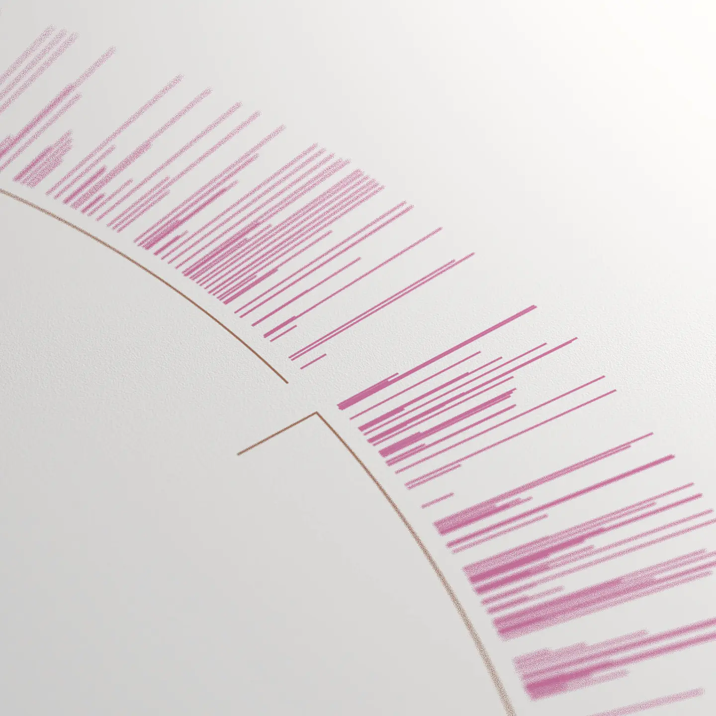Mobile Genome 2