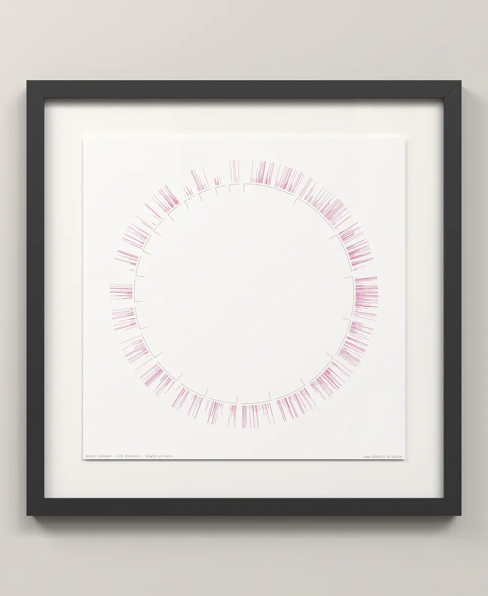 Mobile Genome 3