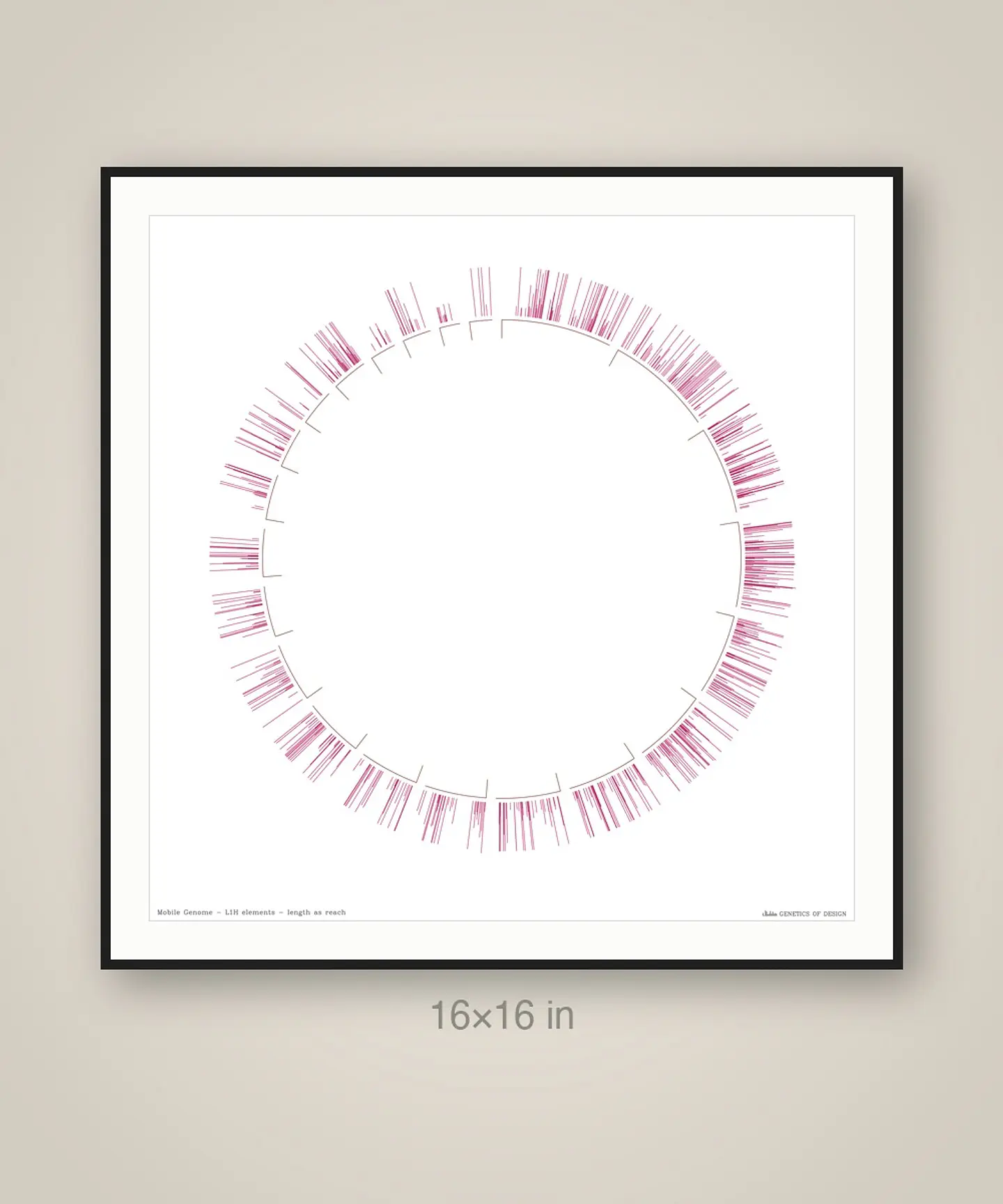 Mobile Genome 4