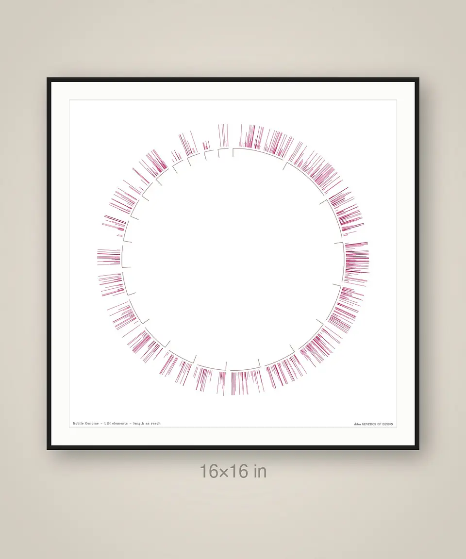Mobile Genome 4