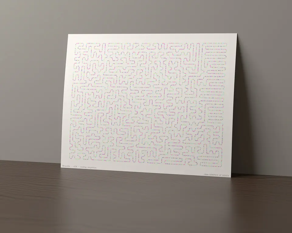 ATM · Meander 1