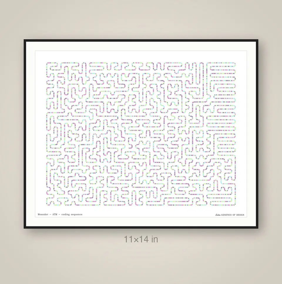 ATM · Meander 4