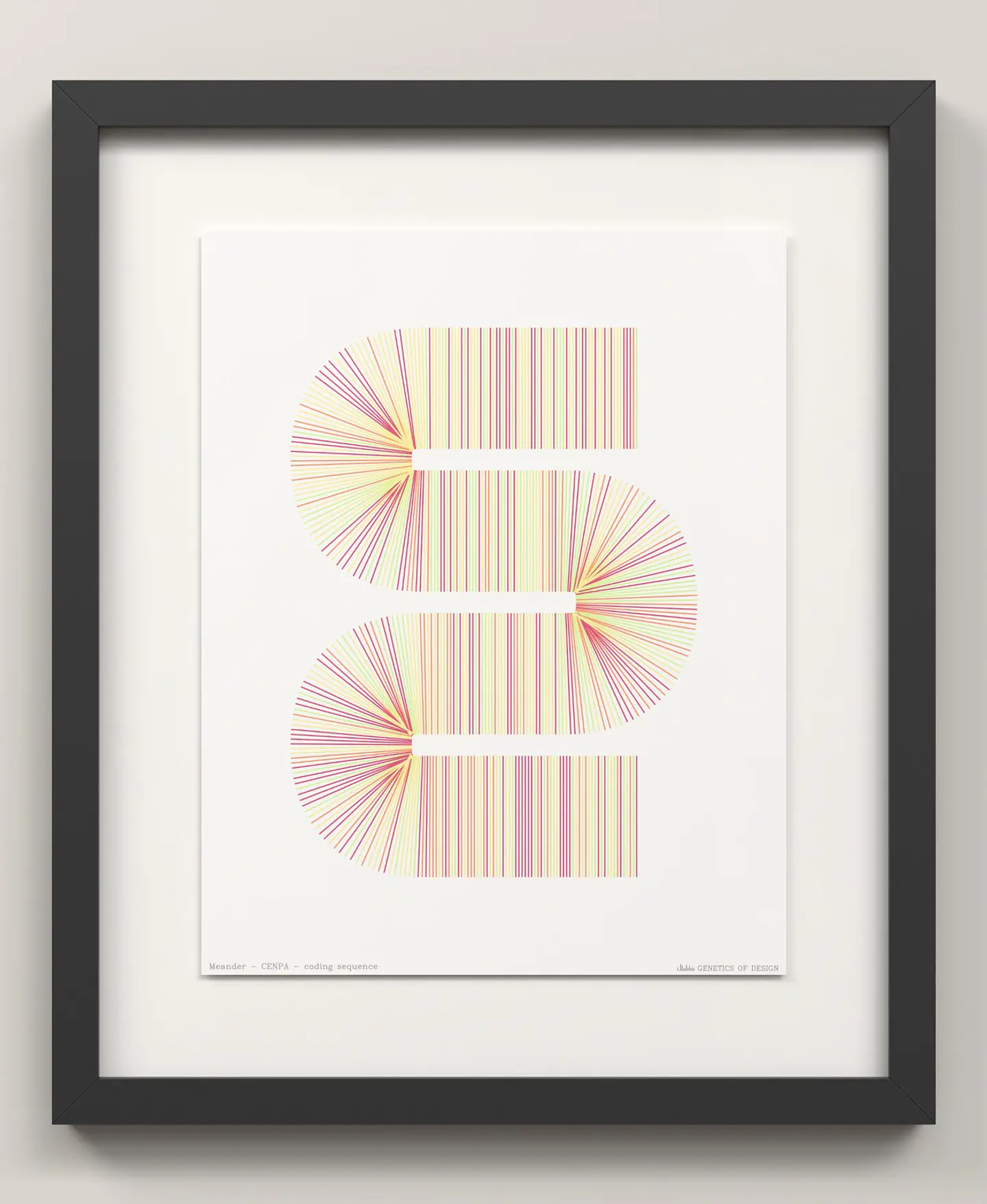 CENPA · Meander 3
