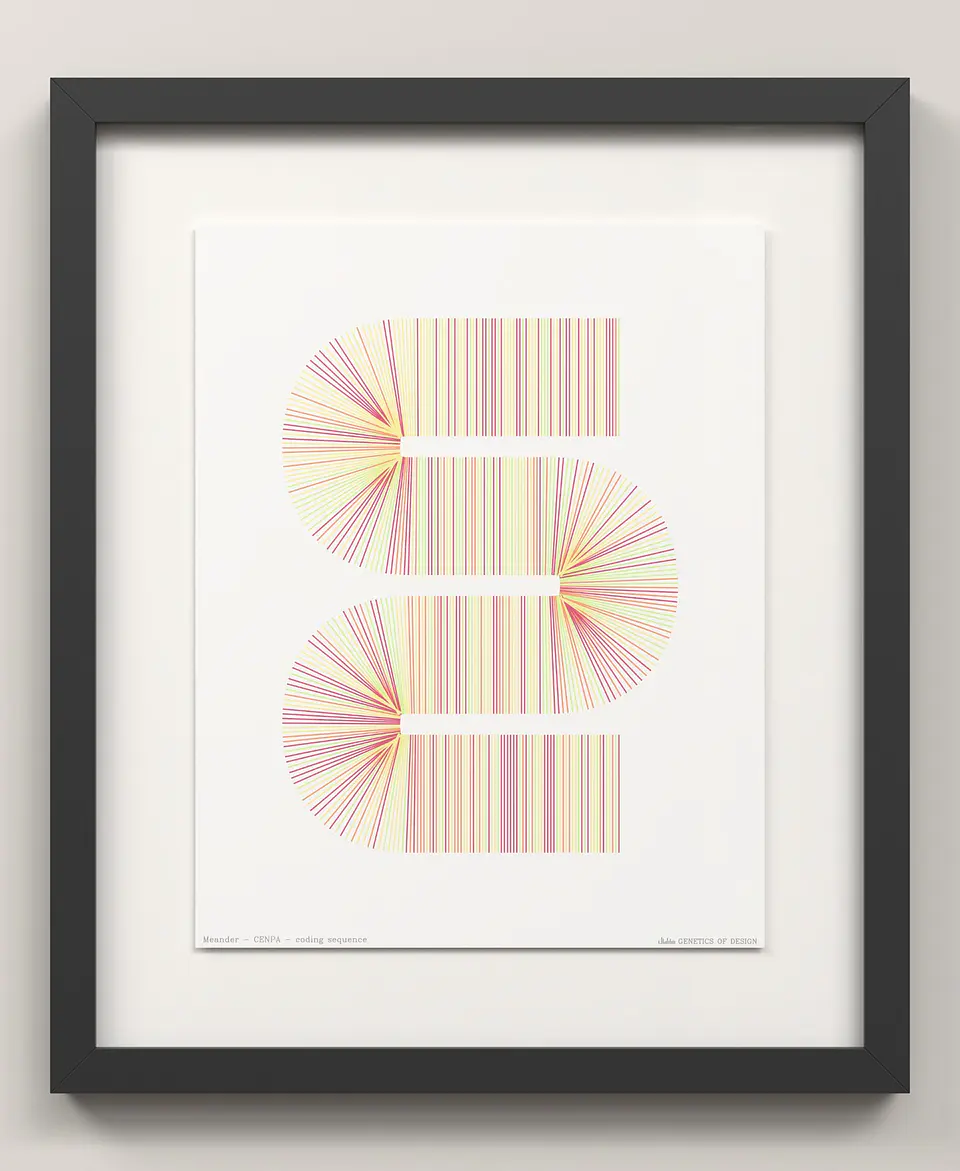CENPA · Meander 3