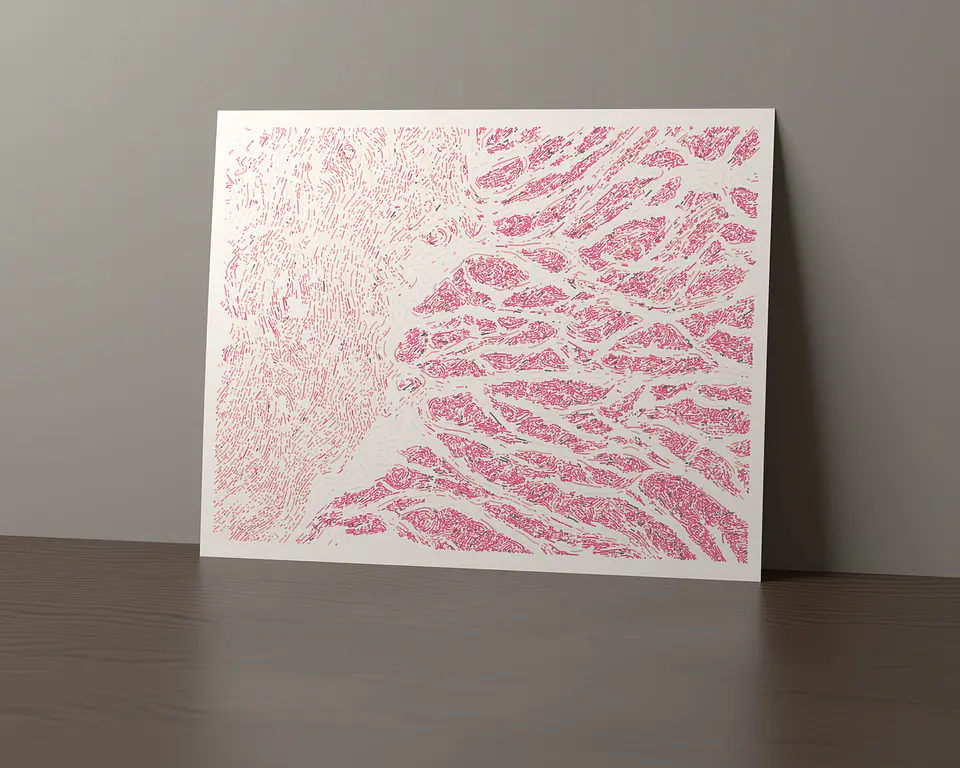 Esophagus Muscularis 1