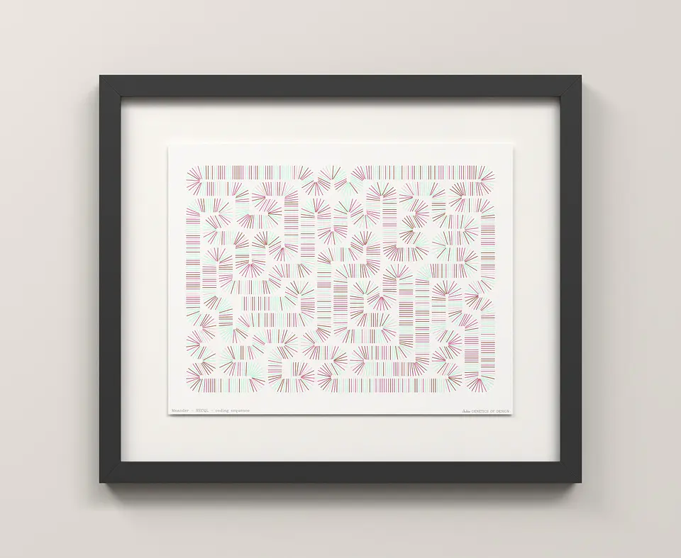 RECQL · Meander 3